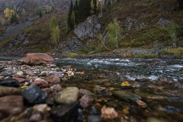 Beauty view on Kolyvan lake - a lake at the foot of the northern slope of the Kolyvan Ridge in the Altai Territory of Russia
