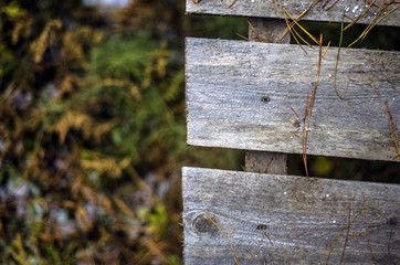 volumetric texture objects