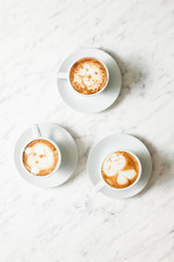 Cappuchino in the zoo