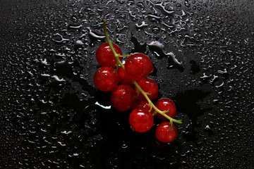 Red currant in water drops on a black background