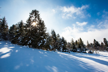Obraz premium The quiet frosty morning