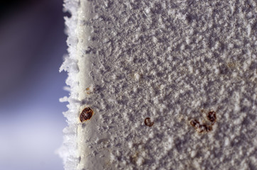 volumetric texture objects