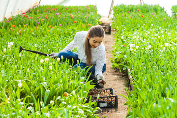 Gardener woman works