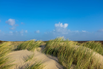 Dünen am Strand an der Nordsee auf Borkum