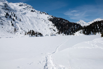Fototapeta na wymiar Alpi Svizzere, Passo del Maloja