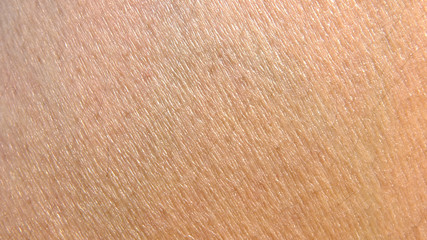 human skin texture