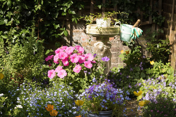 Corner of a summer flowering garden in a sunny day. Garden tools and gloves are in a flower pot in background. Concept: gardening & English garden.