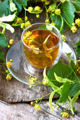 Herbal linden tea in glass cup, selective focus