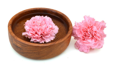 carnation flowers in bowl on white background