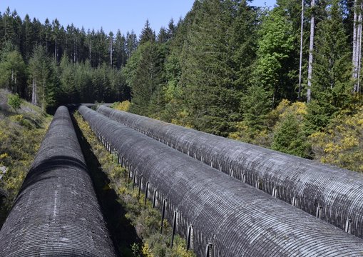 historic wooden penstocks at John Hart Dam, three large over land water pipelines in a forest area, Elk Falls Campbell River;  Vancouver Island BC Canada 