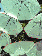 Regenschirme am Himmel