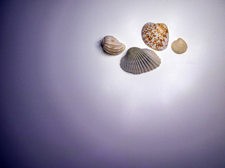 volumetric texture objects