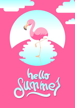 Summer vector illustration with flamingo  and hand-drawing word "Paradise"