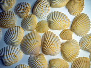 volumetric texture objects