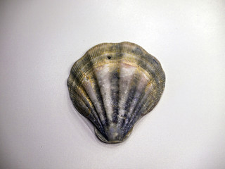 volumetric texture objects