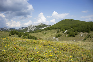 Fototapeta na wymiar Plateau on Velebit mountain in Croatia.