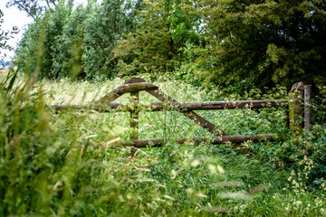 Traditional old wooden fence as deposition of a pasture.