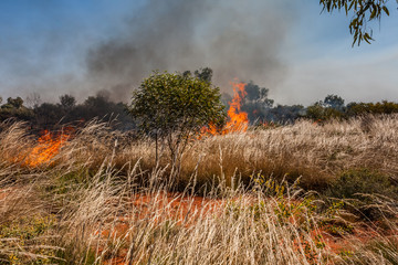 A fire in the Australian outback