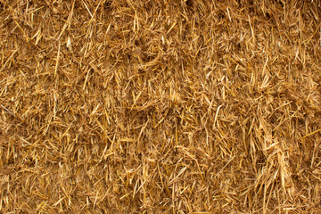 Texture of hay, dry yellow grass