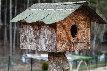 Bird house