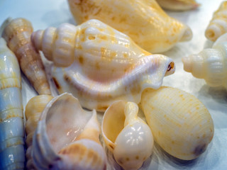 volumetric texture objects