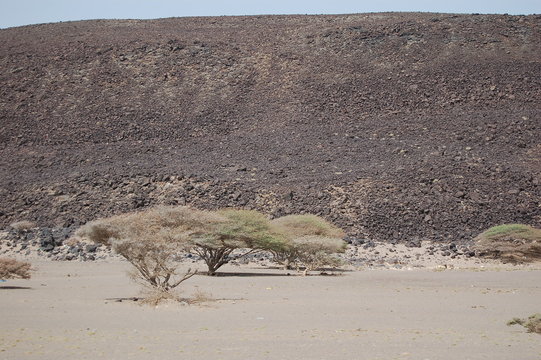 Djibouti