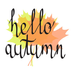 hello autumn hand drawing lettering words on color autumn maple leaves, stock vector illustration