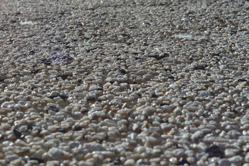 Pebbles gravel on the ground gray texture in perspective.