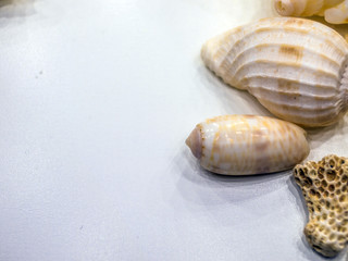 volumetric texture objects