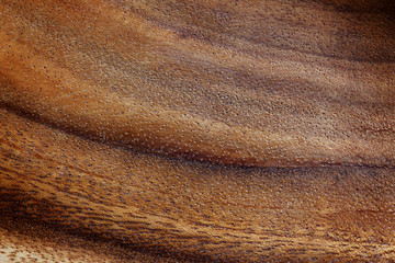 Textured Background of Dark and Light Striped Acacia Wood
