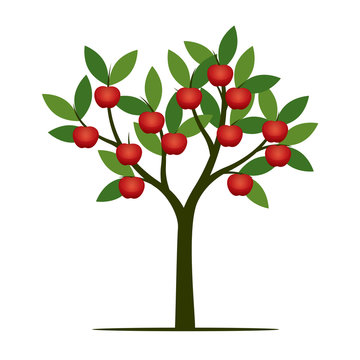 Green summer Tree with red apple. Vector Illustration.