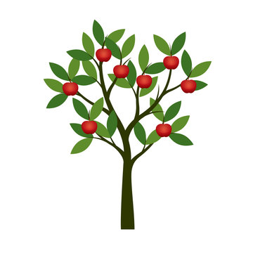Green summer Tree with red apple. Vector Illustration.