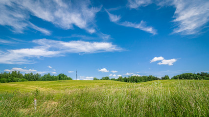 Fototapeta na wymiar summer agricultural landscape. a hilly field under a blue cloudy sky