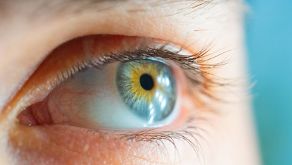 Blue and yellow eye macro