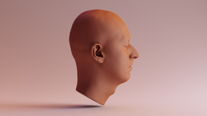 Chocolate Clay Anatomical Ecorche Human head 3d illustration