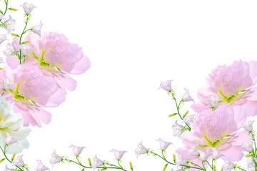 Obraz na płótnie Canvas Floral natural background of bright colorful flowers