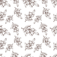 Vector Seamless Pattern: Argan Oil, Sketch Style Background, Outline Plant Drawings.