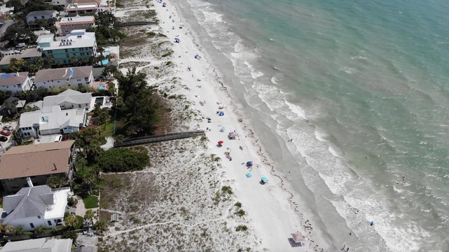 Tampa Shore 