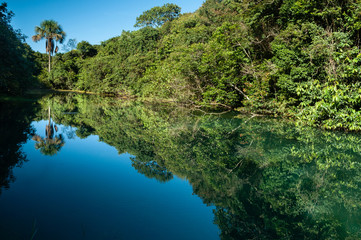 Fototapeta na wymiar Mirror of water with clouds and forest