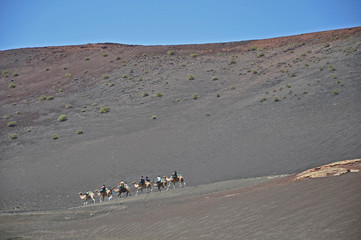 Lanzarote, Kamelkarawane