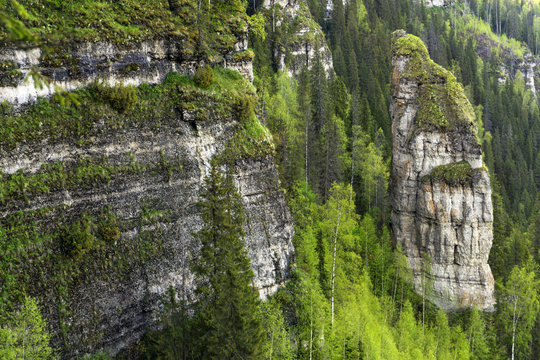 landscape with sheer cliffs amid the forest without sky (rock Devil's finger on the river Usva, Middle Urals, Russia)