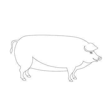 pig coloring vector illustration line drawing profile