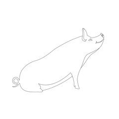 pig coloring vector illustration line drawing profile 