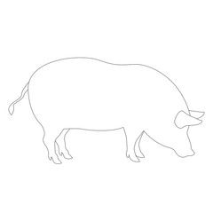 pig coloring vector illustration line drawing profile 