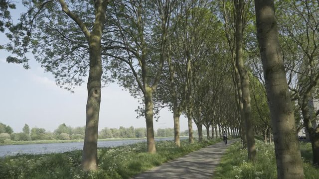 Biking Through Big Trees with Dutch River in the Background