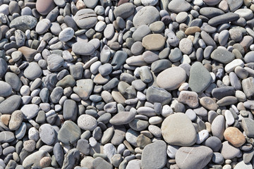 Sea stones on the Black Sea coast. Sochi.
