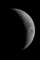 Naklejka premium Claire de Lune