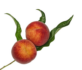 Peach Fruits