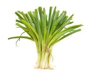 Green Onion on white background