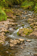 Scenic Tropical Stream Near Hana Maui